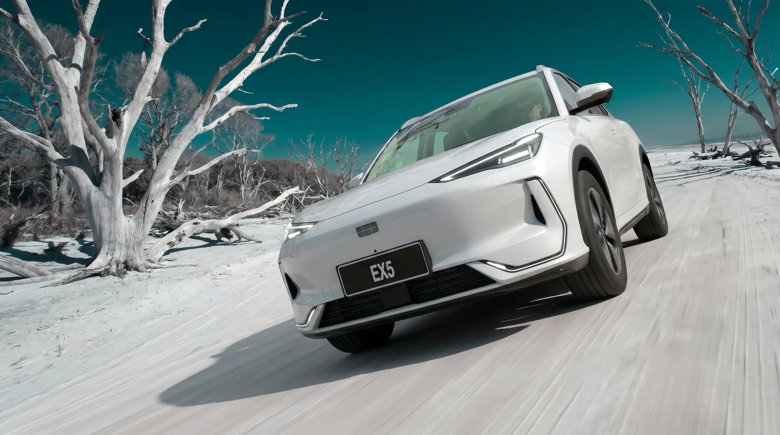 White EX5 on snow among frost-white gum trees