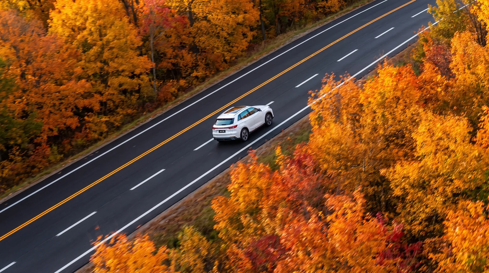 Overhead of a white SUV on an autumn forest highway